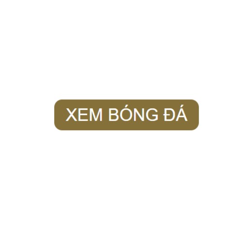 Xem Bóng Đá